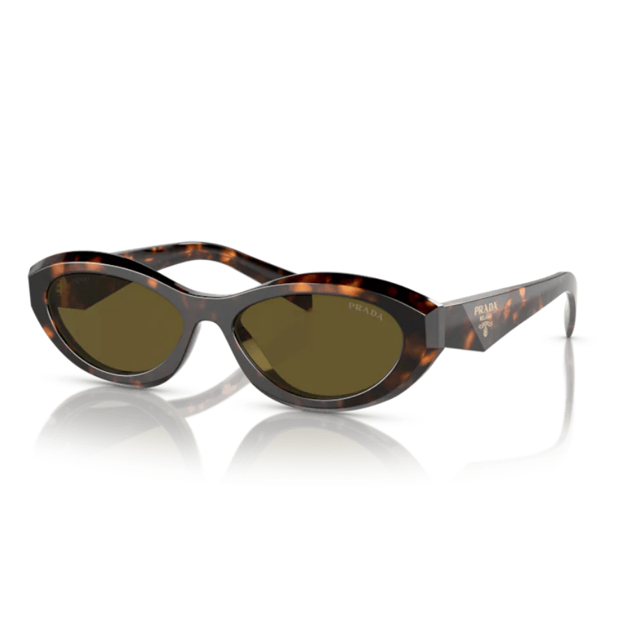 洋楽 PLEASE Cio Optik